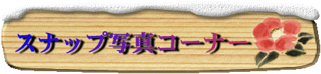ŋ߂̃Xibv